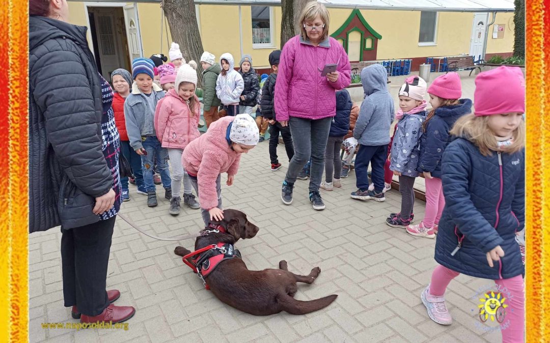 Érzékenyítés, Szőreg Szerb Utcai Óvoda és Bölcsőde(Méhecske, Tücsök, Napsugár csoportok) 2024.03.12.