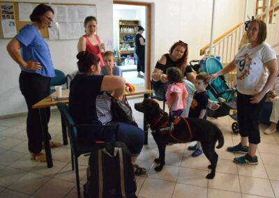 Szitakötő Alapítvány családi nap, 2025.07.26.