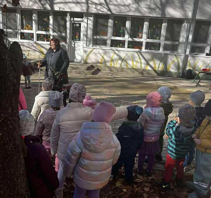 Vedres utcai óvoda, 2025.11.04.