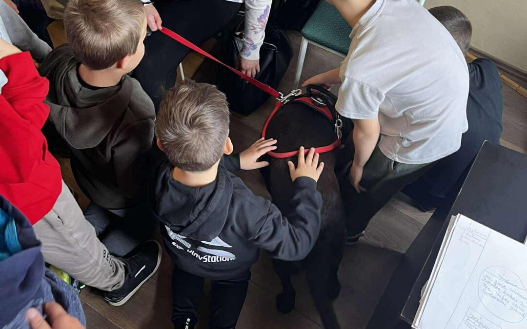 Szentes – Deák Ferenc Általános Iskola, 2025.11.10.