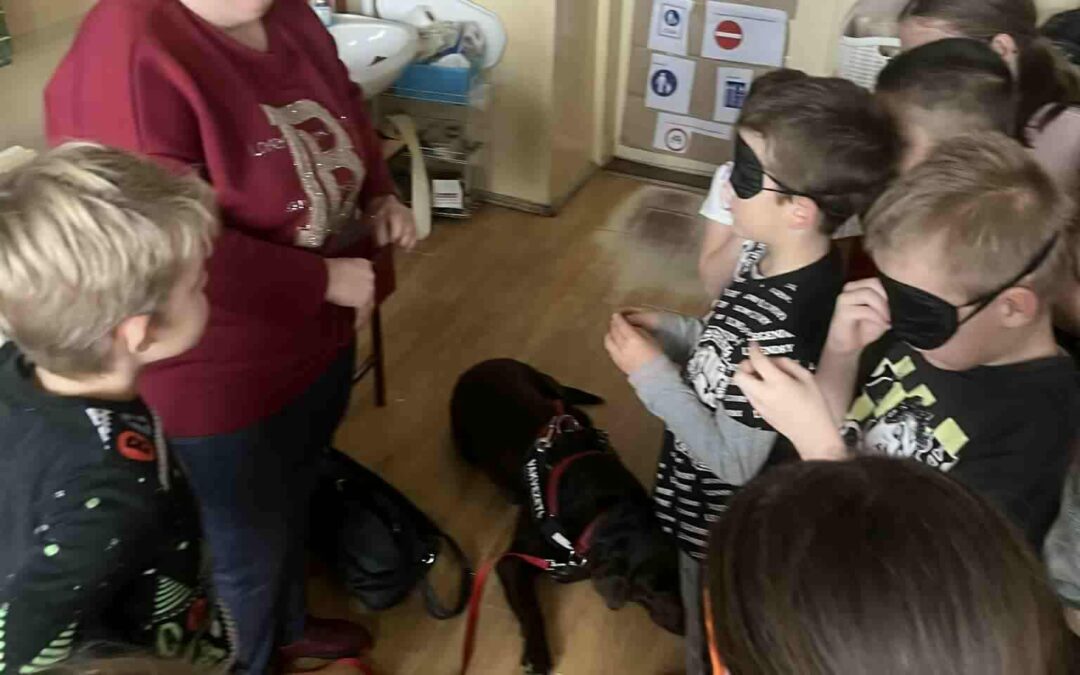 Szentes Deák Ferenc Általános Iskola, 2025.11.18.