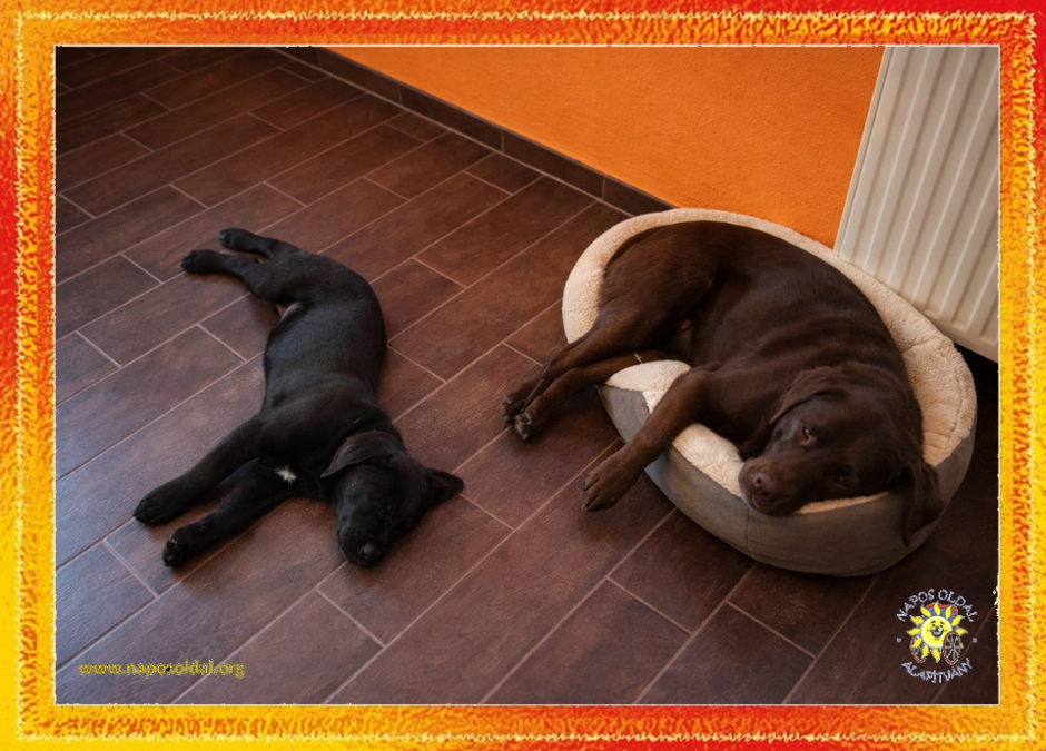 Bodzablog, 73. rész