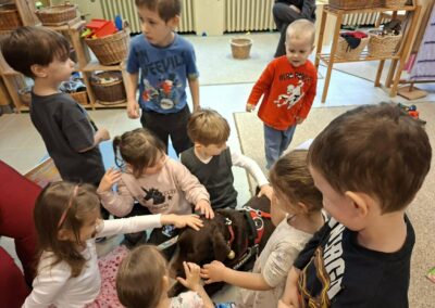 Petresi Utcai Óvoda, 2026.03.30