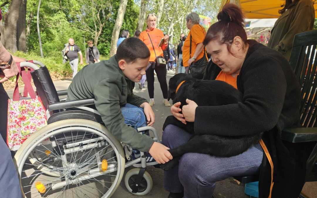Majális, érzékenyítés az újszegedi Ligetben